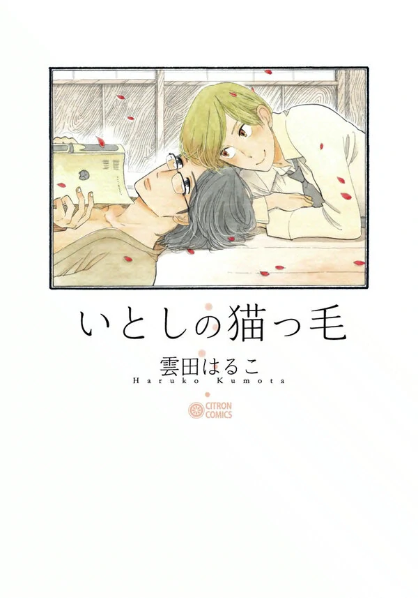 itoshi no nekokke